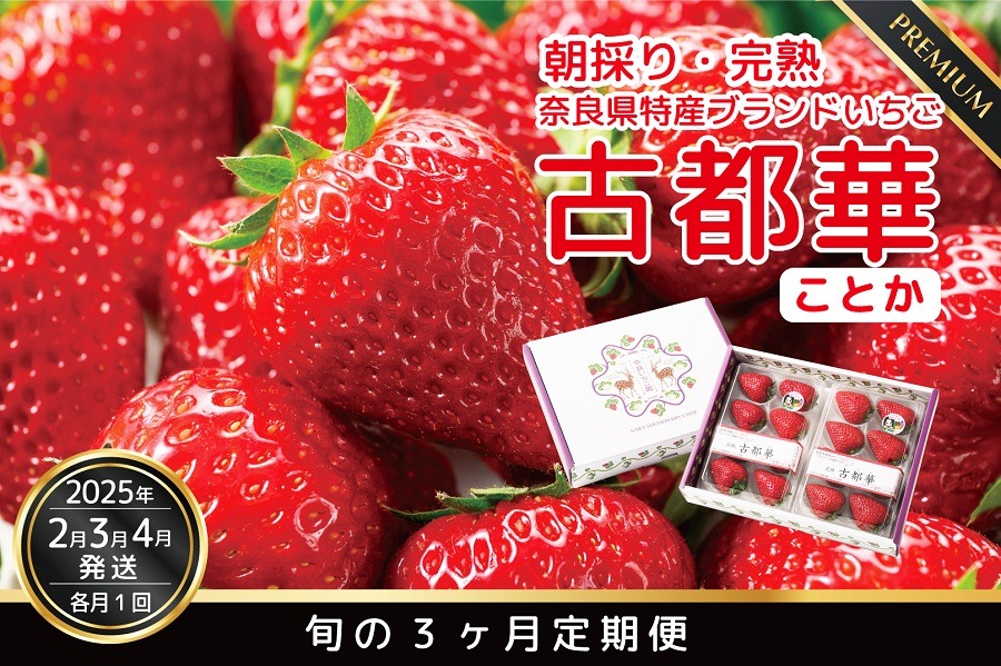 【数量限定】【先行予約】【2・3・4月発送】奈良県特産 高級ブランドいちご「古都華」の３ヶ月定期便 // いちご イチゴ 古都華 フルーツ 果物 旬 限定 ブランド 定期便 朝採り 完熟 いちご ことか イチゴ 先行予約 贈答用 ギフト 化粧箱