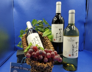 【定期便：全３回】サントネージュかみのやま産葡萄ワインとワインバスケット　0141-2422