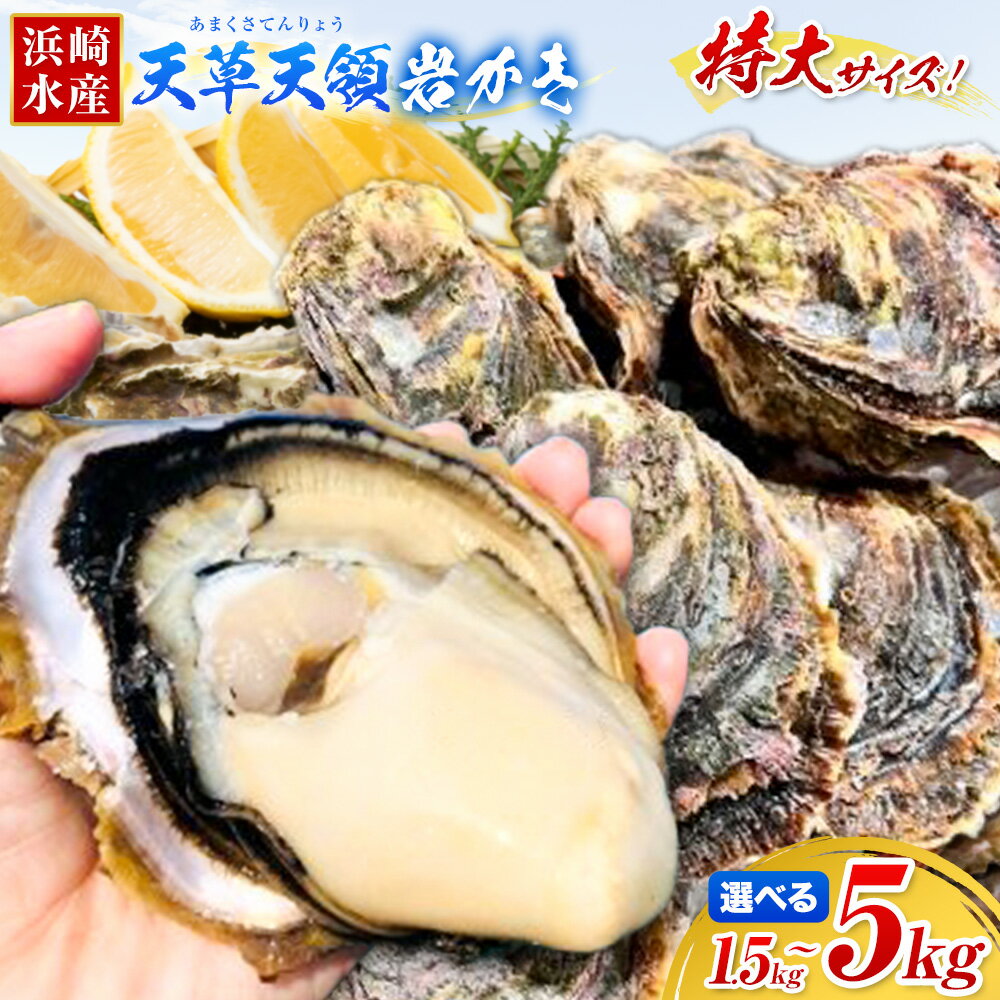 【ふるさと納税】牡蠣 カキ 天草天領 岩かき 特大 選べる 容量 約 1.5kg 2.5kg 5kg 《4月上旬-7月末頃出荷》海鮮 海産物 海の幸 シーフード 魚貝類 かき 岩かき 岩牡蠣 夏牡蠣 生食用 生もの 濃厚 熊本県 苓北町 浜崎水産【配送不可地域あり】
