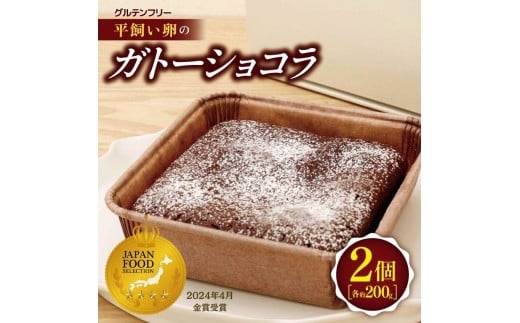 平飼い卵のガトーショコラ ２個セット | 穴太商店 ジャパンフードセレクション 金賞 受賞 米粉 スイーツ デザート ショコラ ガトーショコラ チョコ チョコレート 贈り物 贈答 ギフト プレゼント バレンタイン  誕生日 記念日 お祝い 卒業式 入学式  洋菓子 菓子 オススメ 千葉県 君津市 きみつ