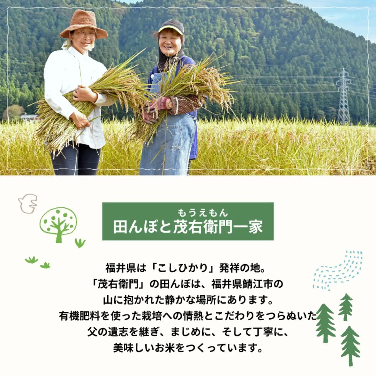 【令和7年産】冬水田んぼでつくる 特別栽培米 もうえもん コシヒカリ（5kg × 1袋）真空パックこしひかり コシヒカリ