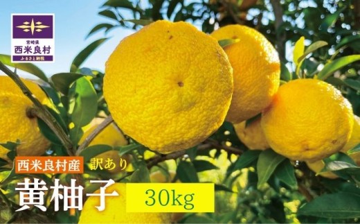 【ワケあり】ワケありの黄柚子 30kg（10kg×3個口）