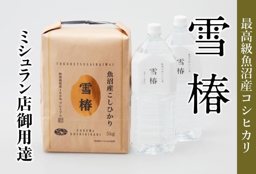 
                  【至高の魚沼セット】【令和7年産】 魚沼産コシヒカリ 雪椿 5kg ＋ 魚沼の天然水 雪椿 4L ( 2L× 2本 ) | 米 お米 新潟 魚沼 魚沼産こしひかり コメ おこめ 白米 精米 セット 最高級 新潟県 津南町 越後雪椿産業株式会社
                