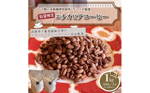 
訳あり コーヒー粉 1kg ( 500g × 2袋 ) 数量限定 ハンドドリップ エチオピア 珈琲 深煎り 中煎り 浅煎り 自家焙煎 下関 山口
