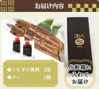 大型サイズ　ふっくら柔らか　国産うなぎ蒲焼き　2尾　化粧箱入【土用の丑の日のうなぎ】【～7月24日までにお届け】【UT05】