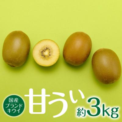 ふるさと納税 新宮町 直送.人気の新ブランドキウイフルーツ(甘うぃ)約3kg/2026年11月配送【甘うぃ】.AD221