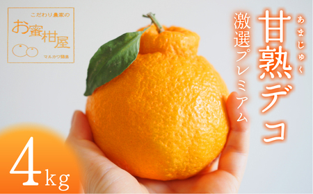 ≪先行予約≫ 完熟しらぬい『甘熟デコ』厳選プレミアム レギュラー箱 ４kg デコポンデコポンデコポンデコポンデコポンデコポン