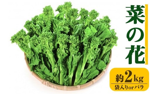 
                  ＜選べる＞＜期間限定！2025年12月中旬以降順次発送予定＞菜の花(約2kg/袋入り・バラ) 【man356】【Aglio nero】
                