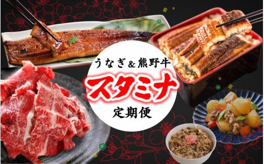 【2回定期便】【毎月お届け】－梅－ 国産うなぎ＆熊野牛 スタミナ定期便 / 定期便 鰻 牛肉 蒲焼 蒲焼き 霜降り 赤身 うな重 うな丼 ひつまぶし すき焼き しゃぶしゃぶ 牛丼 肉じゃが おかず 普段使い 人気 贈答 贈り物 ギフト プレゼント お祝い 冷凍便 クール便 【tkb363】