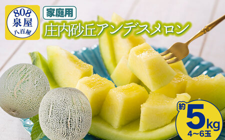 【令和8年産先行予約】家庭用　泉屋商店の庄内砂丘アンデスメロン 約5kg（4～6玉入）　K-830