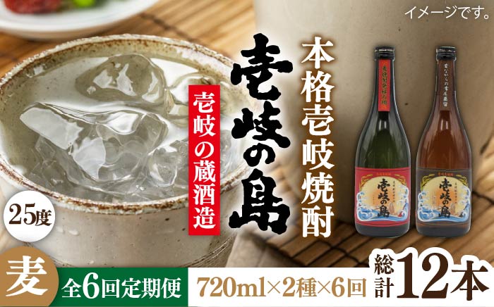 【全6回定期便】壱岐の島 伝匠 と 壱岐の島 25度 720ml 2本入りセット [JDB232] 72000 72000円