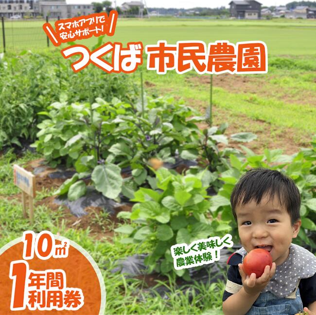 【ふるさと納税】専用スマホアプリがサポート！ハルファームの市民農園利用券(10平方メートル 1年分) | 茨城県 つくば市 農園 貸農園 貸し農園 農業体験 農業 野菜収穫 体験 野菜体験 チケット 旬野菜 採れたて野菜