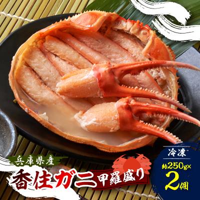 ふるさと納税 養父市 香住ガニ 甲羅盛り 約250g×2個