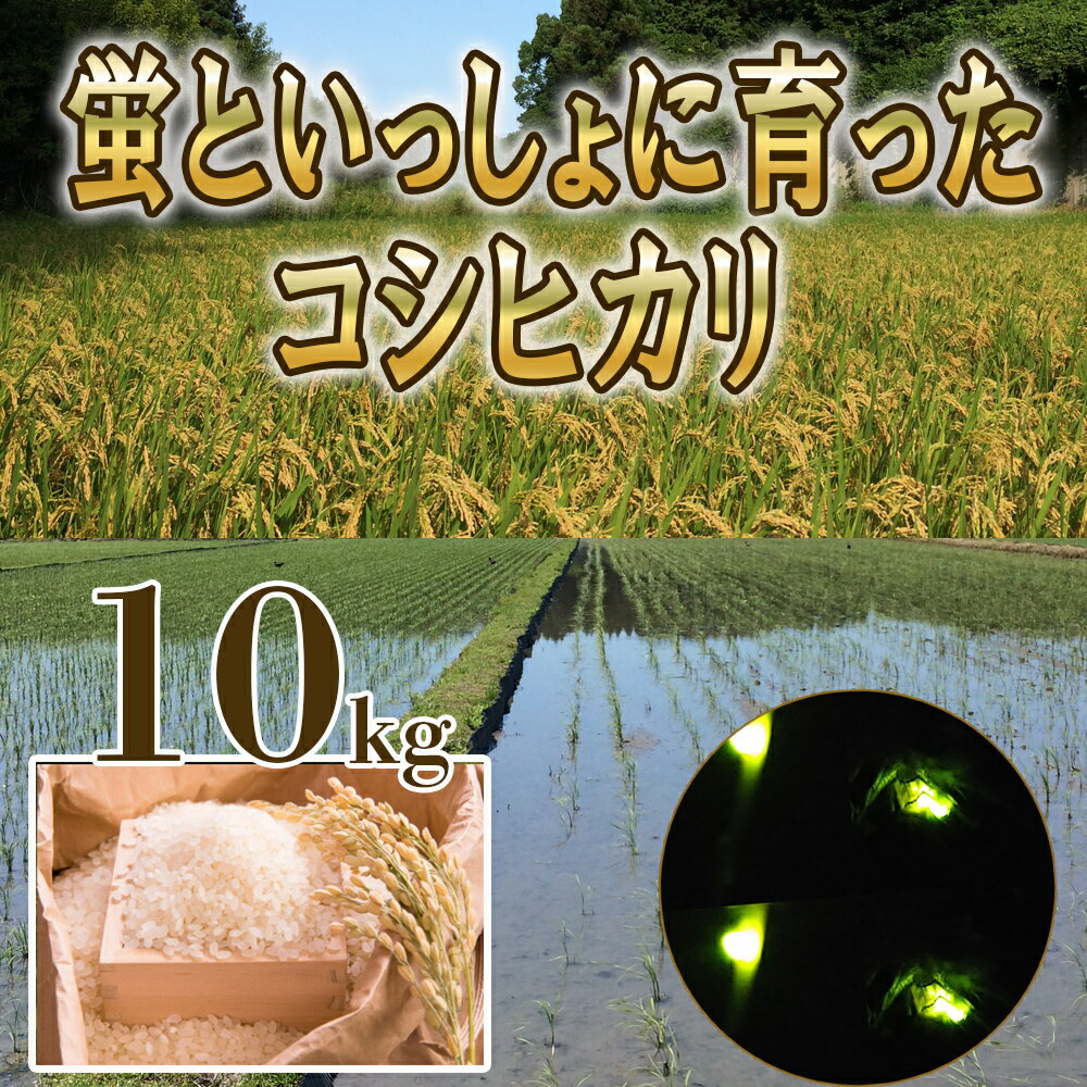 【ふるさと納税】＜R7年先行予約＞きれいな水、きれいな土地。米どころ三重県産うつべ農園のコシヒカリ 10kg【令和7年11月発送】