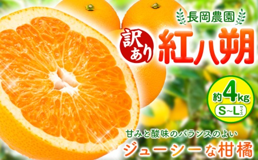 【訳あり】紅八朔 約4kg 長岡農園《2027年3月下旬-5月上旬頃出荷》 和歌山県 日高川町 紅八朔 八朔 はっさく