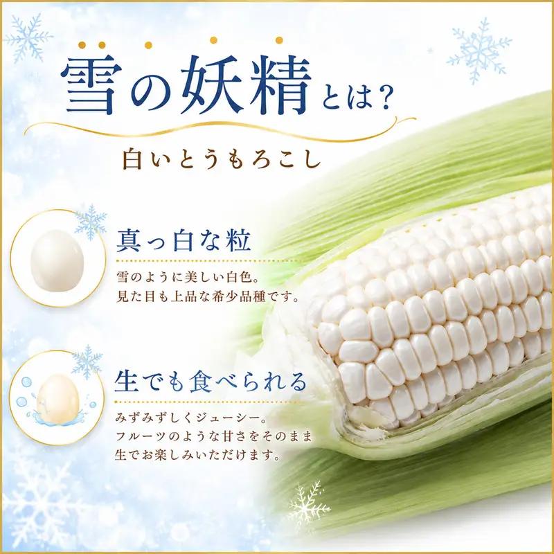 訳あり 白いとうもろこし 約3kg 【とうもろこし】