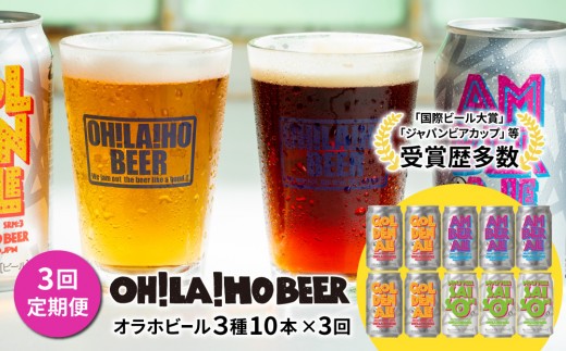 【3回定期便】クラフトビール3種飲み比べ10本セット（ゴールデンエール、アンバーエール、ヌーベルセゾン）｜オラホビール 地ビール