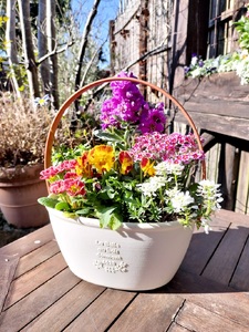 a10-1174　季節のおまかせ寄せ植えバスケット