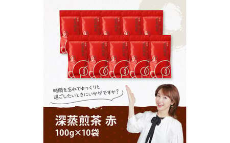 宮崎県産茶　深蒸煎茶（赤）100ｇ10袋セット 【 九州産 宮崎県産 川南町産 茶 お茶 国産茶 飲料 日本茶 飲みやすい 使いやすい 】