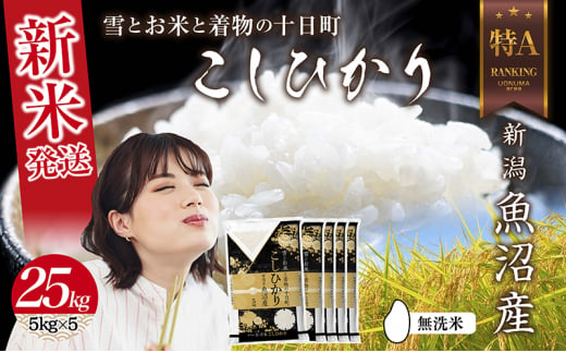  無洗米 令和6年産 新潟県 魚沼産 コシヒカリ お米 25kg （5kg×5袋）精米済み（お米の美味しい炊き方ガイド付き） お米 こめ 白米 新米 こしひかり 食品 人気 おすすめ 送料無料 魚沼 十日町 十日町市 新潟県産 新潟県 精米 産直 産地直送 お取り寄せ