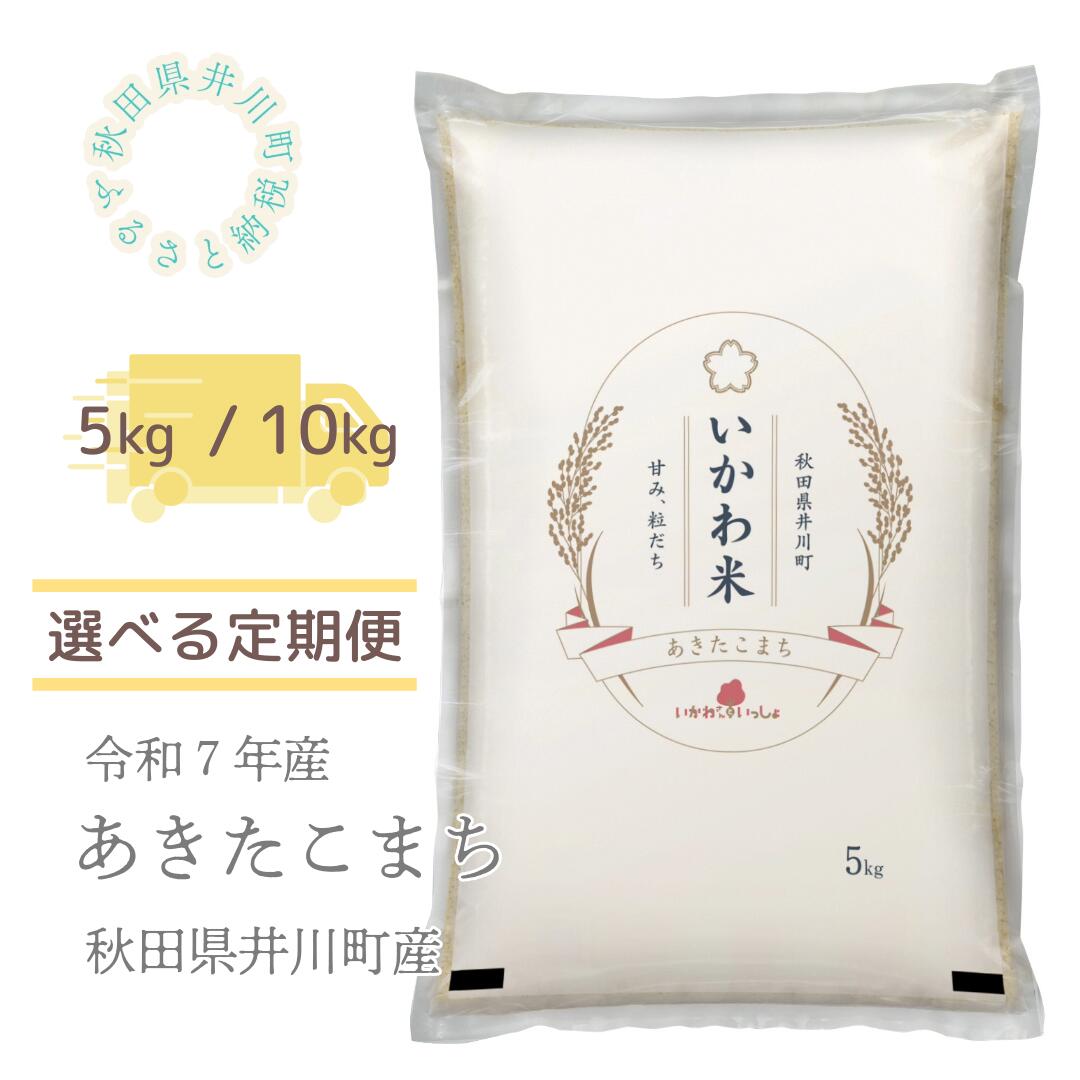 【ふるさと納税】【令和7年産先行受付】あきたこまち　定期便5kg　10kg　精米　秋田県井川町産