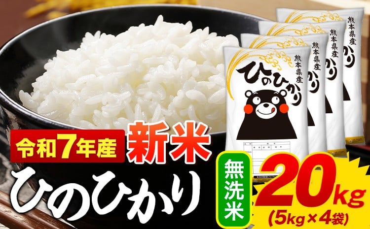 
            新米 無洗米 ひのひかり 20kg 令和7年産 熊本県産 ふるさと納税 無洗米  精米 ひの 米 こめ ふるさとのうぜい ヒノヒカリ コメ お米 おこめ 《12月中旬-2月末頃出荷》
          