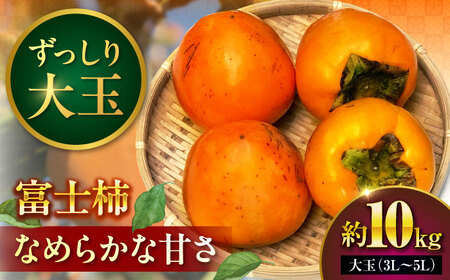【先行予約】富士柿 10kg 愛媛県大洲市/有限会社西山青果 柿 かき 果物 ギフト フルーツ[AGAR016]