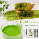 【ふるさと納税】米粉の抹茶フィナンシェ10個・宇治抹茶カプチーノ1箱入り　宇治茶 宇治抹茶 抹茶 フィナンシェ 菓子 スイーツ カプチーノ　2025年1月20日以降順次出荷 CM03