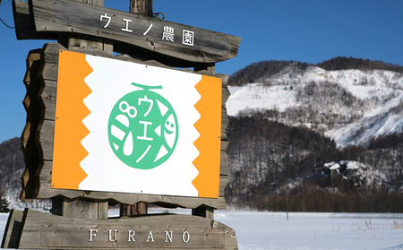 【2024年7月上旬より順次出荷】先行受付 北海道 富良野産 “朝もぎ” ホワイトコーン「雪の妖精」10本 LLサイズ (ウエノ農園 富良野) とうもろこし とうきび コーン 野菜 新鮮 甘い ジュー