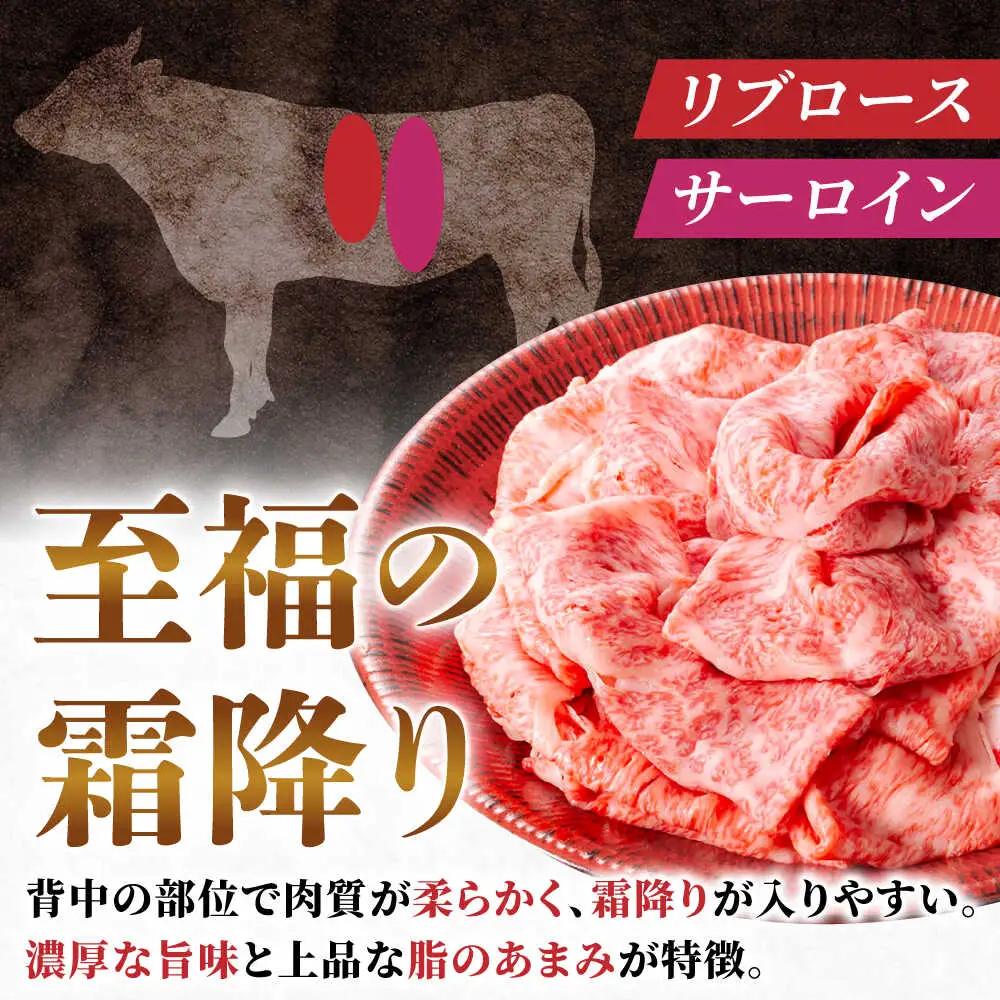 【12回定期便】飛騨牛サーロイン・リブロース 800g(400g×2パック) すき焼きしゃぶしゃぶ用肉 [AVBO026]