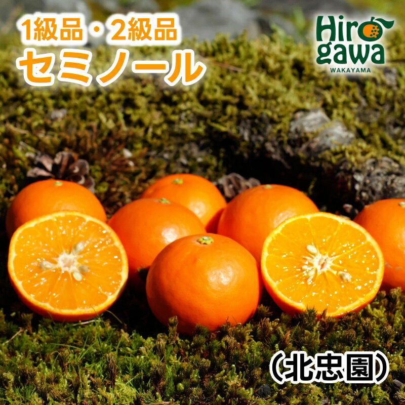 【ふるさと納税】 セミノール 5kg 和歌山 広川町産 ※2026年4月上旬～2026年4月下旬頃に順次発送予定 / 和歌山 有田 広川 みかん ミカン 柑橘 果物 くだもの ギフト フルーツ 果実