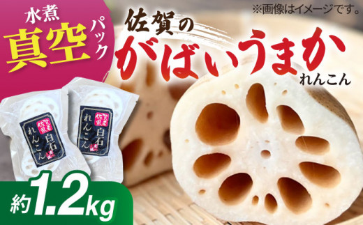 【お手軽調理！】白石町産 水煮れんこん 120g×10袋（カット有り/真空パック）【有限会社白石開発】 /蓮根 レンコン 佐賀県産 白石町産 野菜 根菜 小分け 真空 保存 [IBN004]