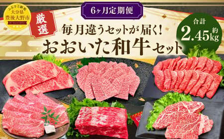 173-1285 【6ヶ月定期便】 毎月違うセットが届く！おおいた和牛 セット 合計約2.45kg 1回あたり約400g～約450g 牛肉 食べ比べ ソース付き サーロイン 赤身 ミスジ ブロック ロ