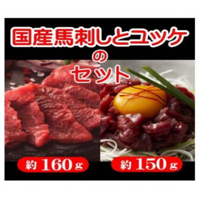 ふるさと納税 山鹿市 国産 馬刺しとユッケのセット