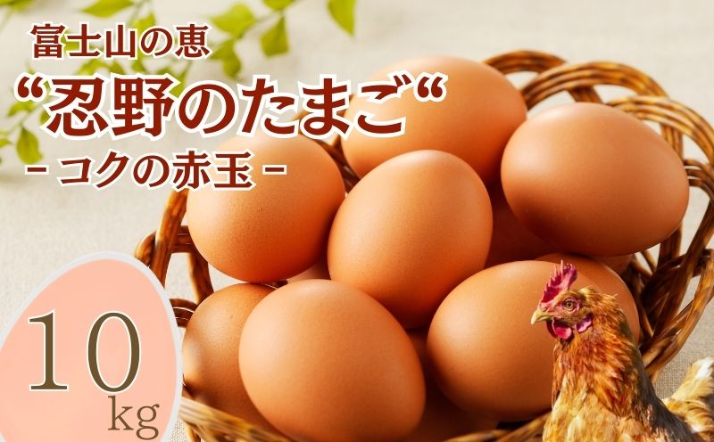 富士山の恵“忍野のたまご“‐コクの赤玉‐10㎏　　鶏卵　都留　忍野　新鮮　こだわり　名水　卵　たまご　玉子　タマゴ　大容量　お得　おしののたまご　濃厚　平飼い