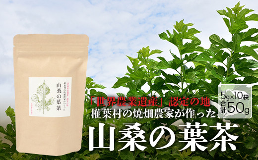 
【世界農業遺産の産物】焼畑農家がつくった山桑の葉茶 ティーバック【桑茶】
