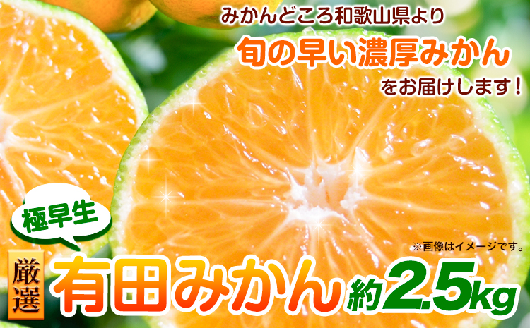 ＜先行予約＞厳選　極早生有田みかん2.5kg+250g（傷み補償分）【YN26・ゆら早生】池田鹿蔵農園@日高町（池田農園株式会社）《2026年10月上旬-11月中旬頃出荷》和歌山県 日高町---wsh_idn277_10j11c_25_11000_2500g---