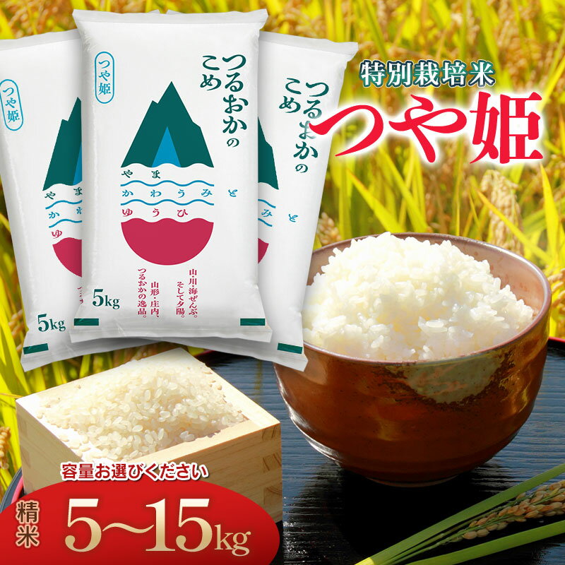 【ふるさと納税】令和7年産 つや姫 特別栽培米 精米　容量お選びください［5kg・10kg・15kg］ 山形県 庄内産 | 鶴岡市 返礼品 白米 美味しい お米 おいしい おこめ コメ ブランド米 10キロ 名産品 特産品