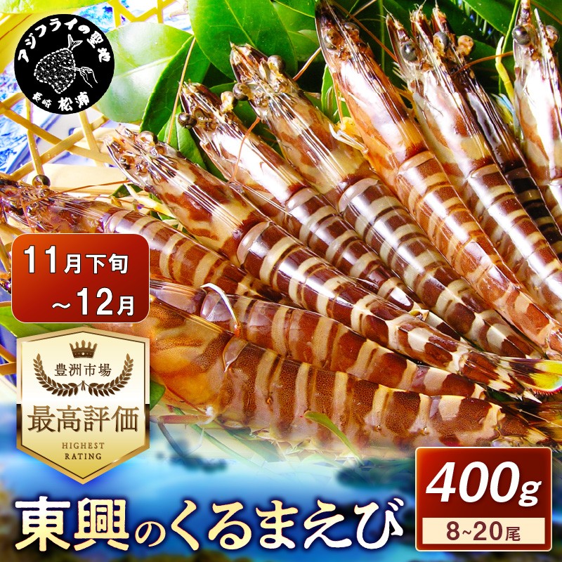 【先行予約】【宅配BOX不可】東興のくるまえび400g入【11月下旬～12月発送】( くるまえび 東興のくるまえび 車海老 海老 エビ )【B6-029-12】