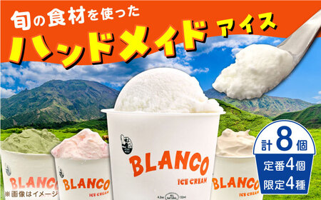 ハンドメイドアイスクリーム 6種 食べ比べ  8個セット 詰め合わせ アイスクリーム ジェラート 熊本 人気アイスクリーム あいす くりーむ 冷凍 ブランコ blanco【BLANCO ICE CREAM】[YCM005]