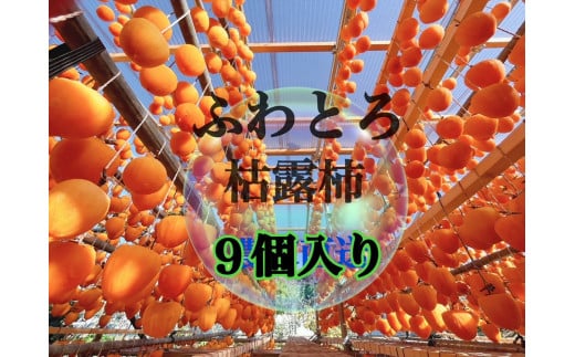 て！なんで～こりゃぁ新食感 とろっふわ枯露柿（9個入り）生産者直送【2024年発送】（ISI）B-809