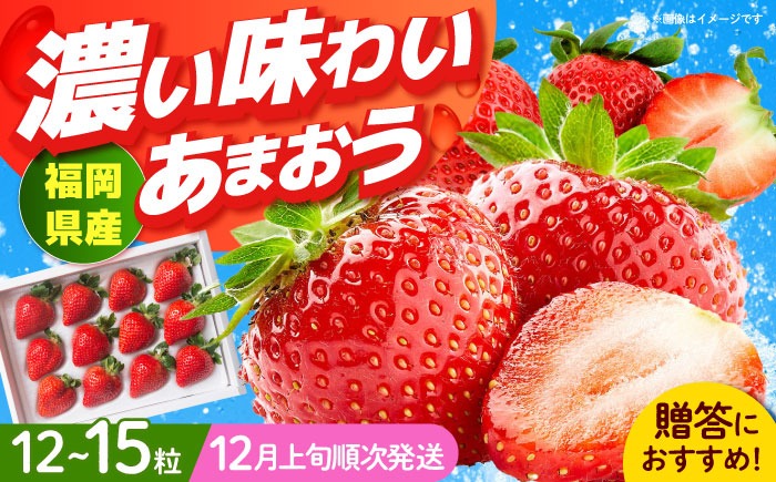 【12月上旬より発送】 福岡産 あまおう ギフト箱（12-15粒）《築上町》【南国フルーツ株式会社】 果物 苺 いちご[ABET003]