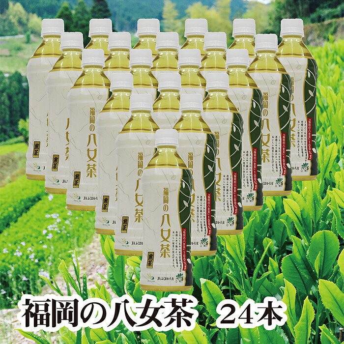 【ふるさと納税】 レビューキャンペーン 福岡の八女茶 煎茶ペットボトル(24本)