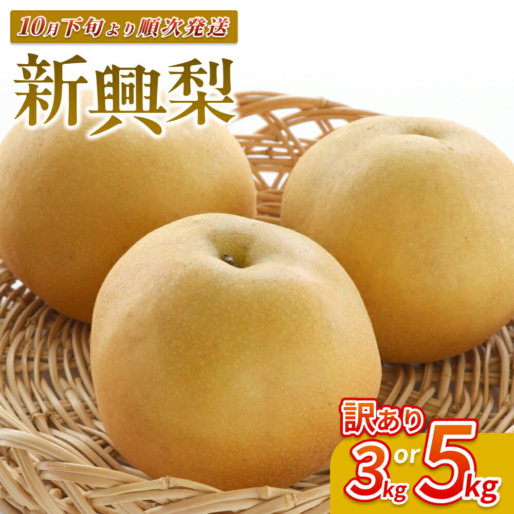 【ふるさと納税】【先行予約】（訳あり）中野農園 梨 ”新興梨” 3～5kg｜鳥取 岩美 梨 なし ナシ 赤梨 果物 フルーツ※お届けは2026年11月以降