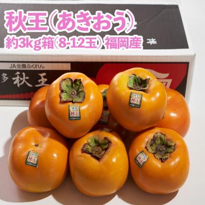 ふるさと納税 篠栗町 福岡産(柿)秋王(あきおう)約3kg箱(8-12玉)(篠栗町)