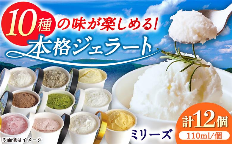 本格ジェラート ミリーズ12個セット 110ml×12個 / アイスクリーム / 佐賀県 / 松本アイス工房 [41AOAA003]