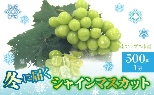 【2026年発送先行予約】南アルプス市産　冬に届くシャインマスカット　1房(約500g） ALPDD025　|  |