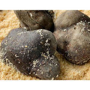 【丹波篠山産】 丹波篠山産 山の芋  （秀品 2kg箱） 山芋 E011