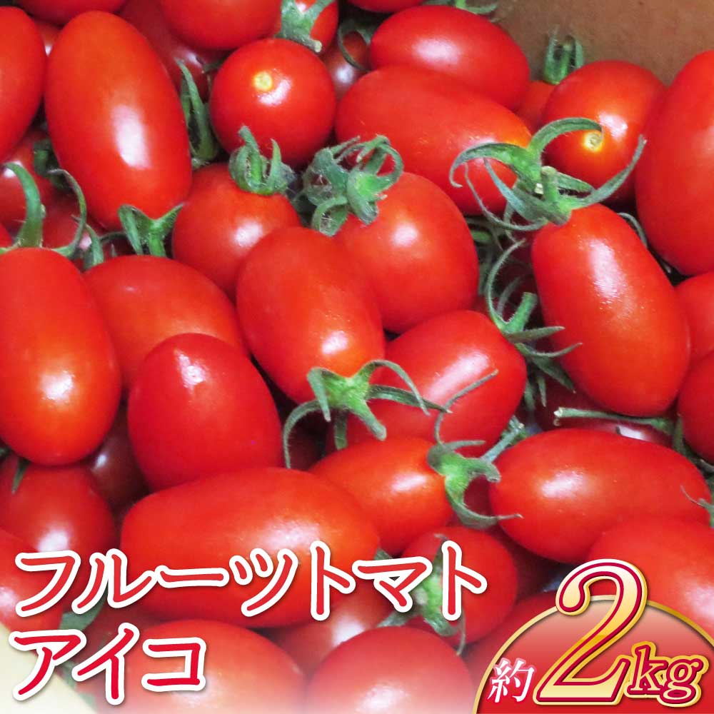 【ふるさと納税】フルーツトマト アイコ 約2kg 【2026年4月上旬〜6月中旬頃順次発送予定】トマト とまと 野菜 濃厚 ケース 箱 1箱 国産 九州 熊本県 宇城市 送料無料 しんたのトマト農園 宇城市産