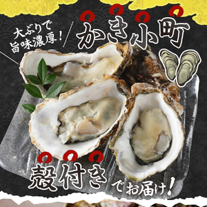 【2026年2月中旬発送】宮原水産 かき小町 殻付き 13～15個 冷蔵 国産 広島県産 牡蠣 かき 生かき 生牡蠣 お取り寄せ 送料無料 広島県 呉市 ku005-012-02-2-25